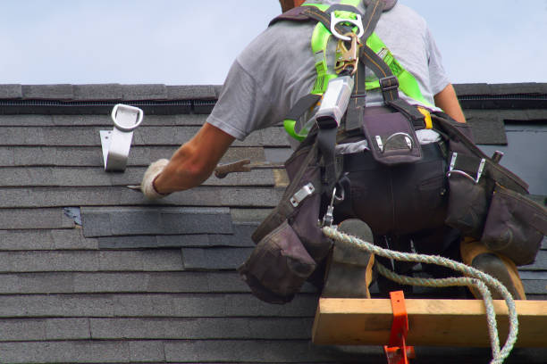 Siding Removal and Disposal in Blue Mountain, MS